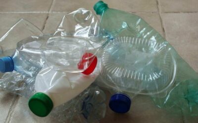 Erfolg der Pfandringe in Koblenz fortsetzen