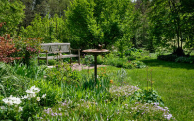 Herlet muss bleiben – Pressemitteilung der Jusos Koblenz und der Grünen Jugend Koblenz-Mittelrhein